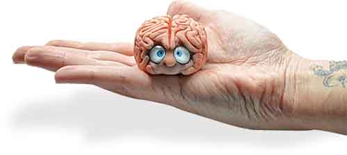 Polymer builds brains according to Marina Sabio on PolymerClayDaily.com